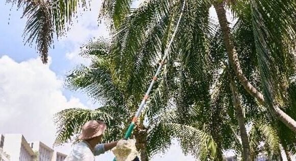 The Sanya EDITION Redefines Family Travel Experiences